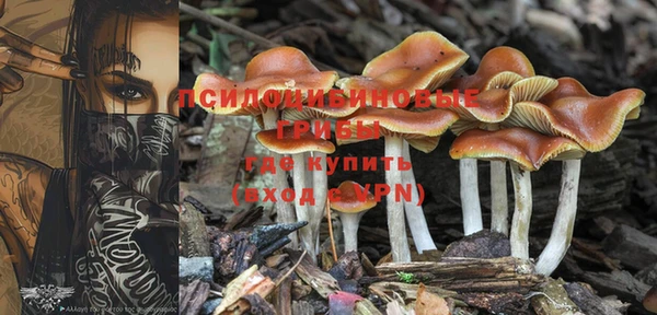 каннабис Абинск