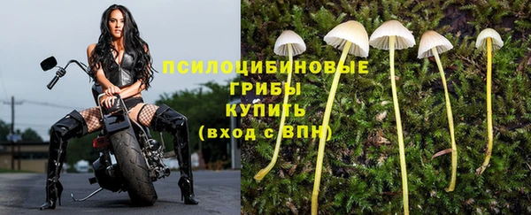 каннабис Абинск