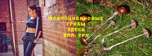 бошки Абдулино